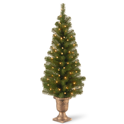 Mercury Row® Kingswood Fir Green Artificial Christmas Tree with Clear
